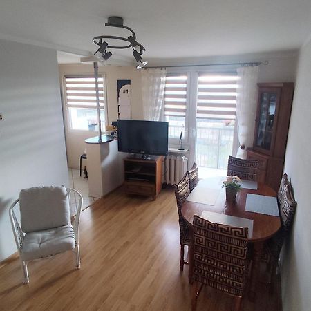 ילנייה גורה Apartament Z Widokiem Na Sniezke מראה חיצוני תמונה