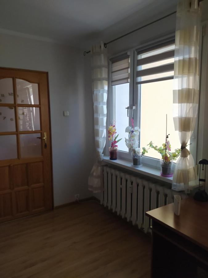 ילנייה גורה Apartament Z Widokiem Na Sniezke מראה חיצוני תמונה